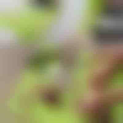 Prkénko na krájení bez nepořádku s odnímatelnou nádobou 2 v 1| CHOPPINATA