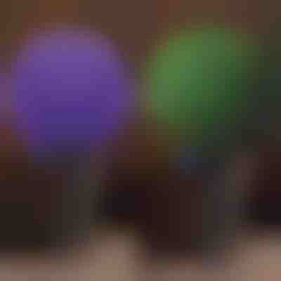 Dekorativní rostlinná koule | TOPIORB