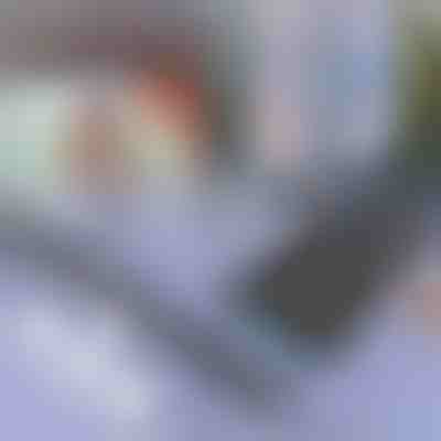 Sluneční clona do auta a na okno | SUNGUARD