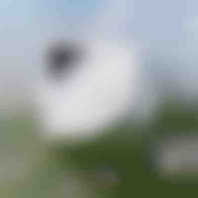 Bez námahy čištění oken | WINDOWSWIPE